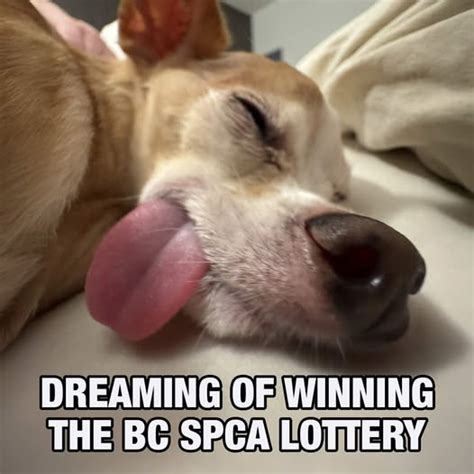 bc spca lottery|BC SPCA Tri.
